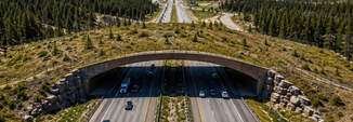 Wildlife crossings, Natural crossings, 