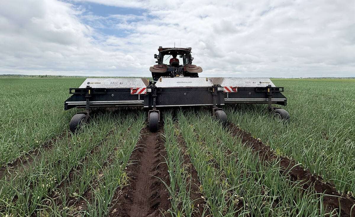 The Ecorobotix ARA smart sprayer garnered plenty of attention during its onion demo at Smith Gardens as part of the AgRobotics Demo Day tour on July 8, 2025. Photo: Diana Martin