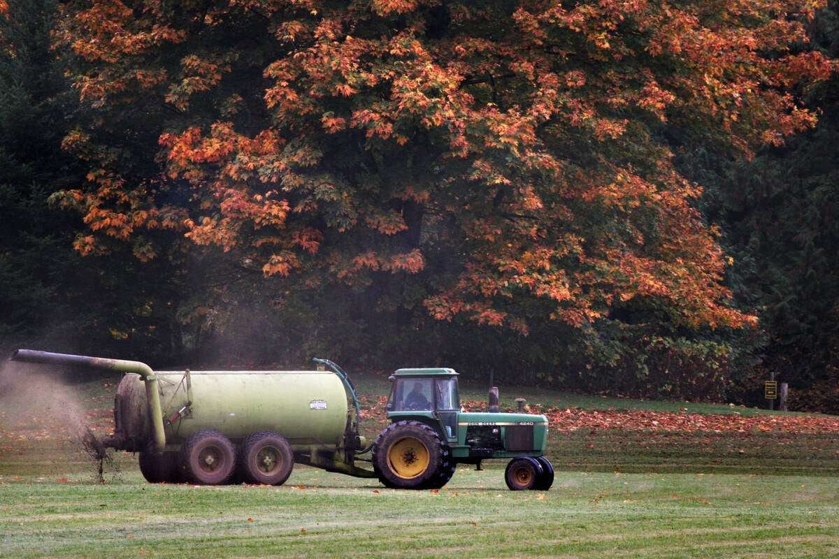 Tractor pulling a manure tanker spreading liquid manure across a field beside autumn trees. Photo: file