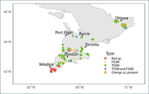 Distribution of emerging mite species across various sites, including field and greenhouse crops in southwestern Ontario. Photo: Grbic Lab at Western University