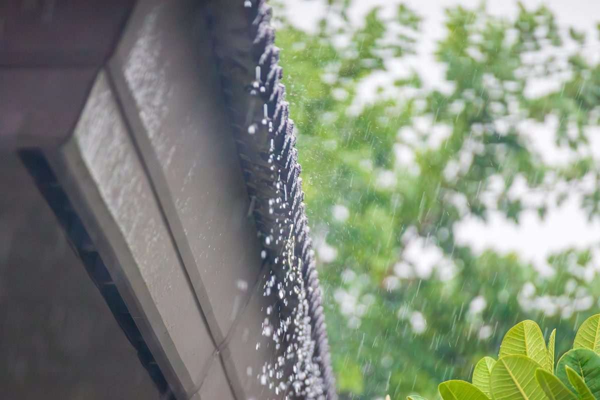 rainwater dripping from roof