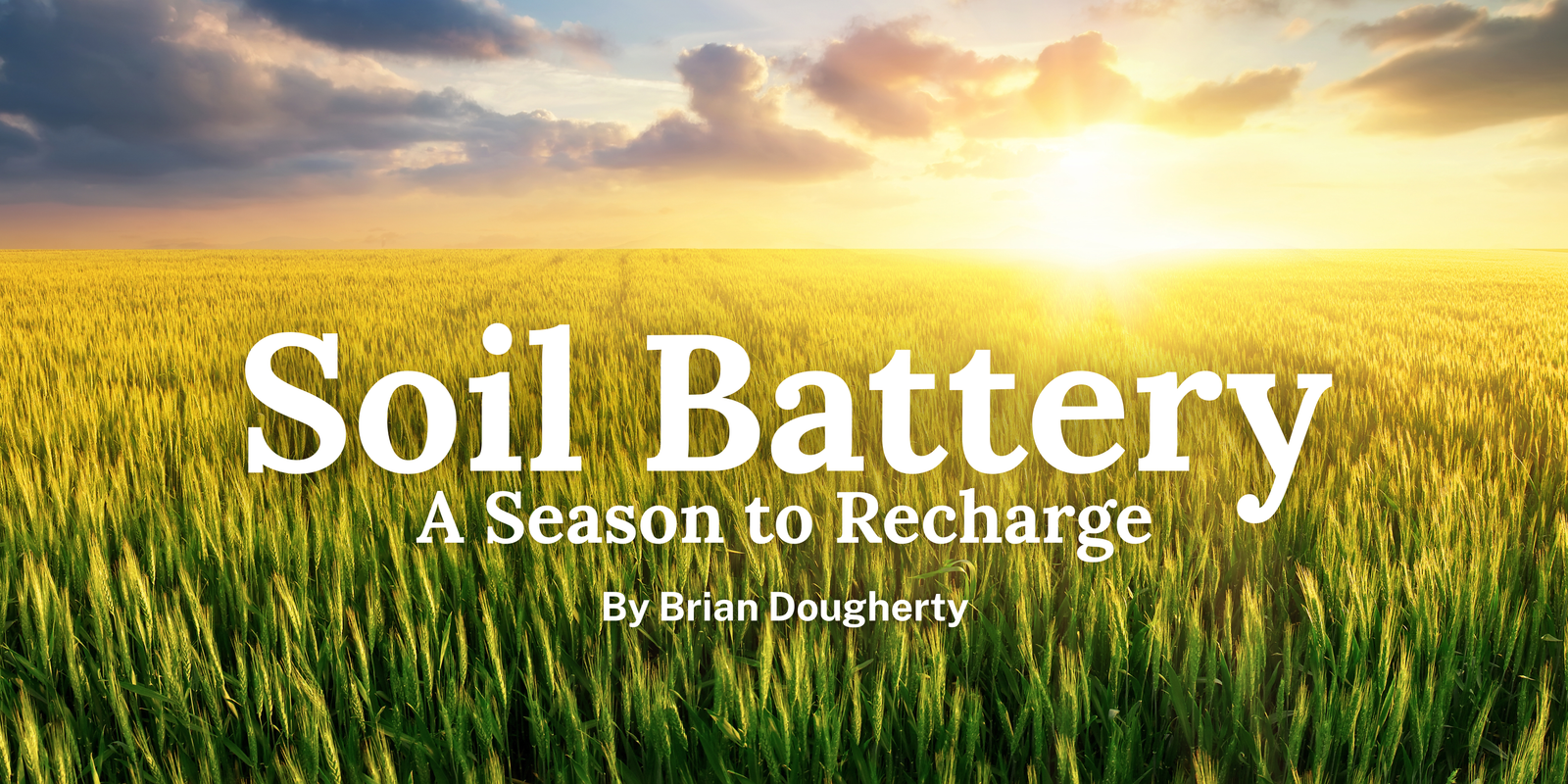Soil Battery