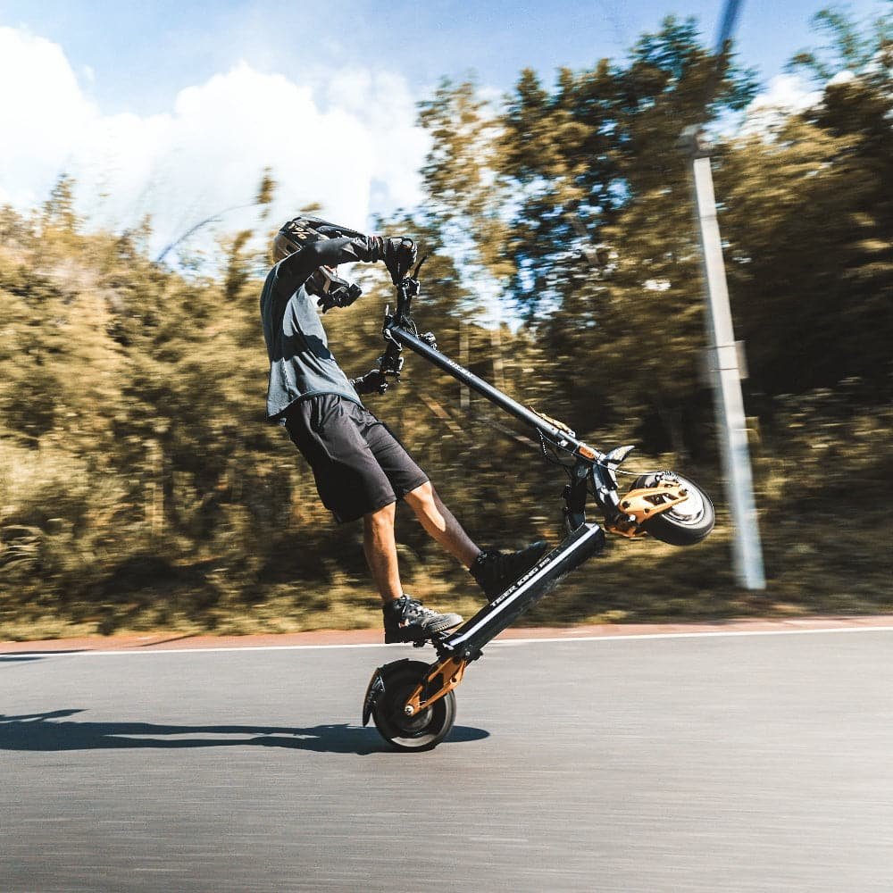 Hiley Tiger King RS electric scooter