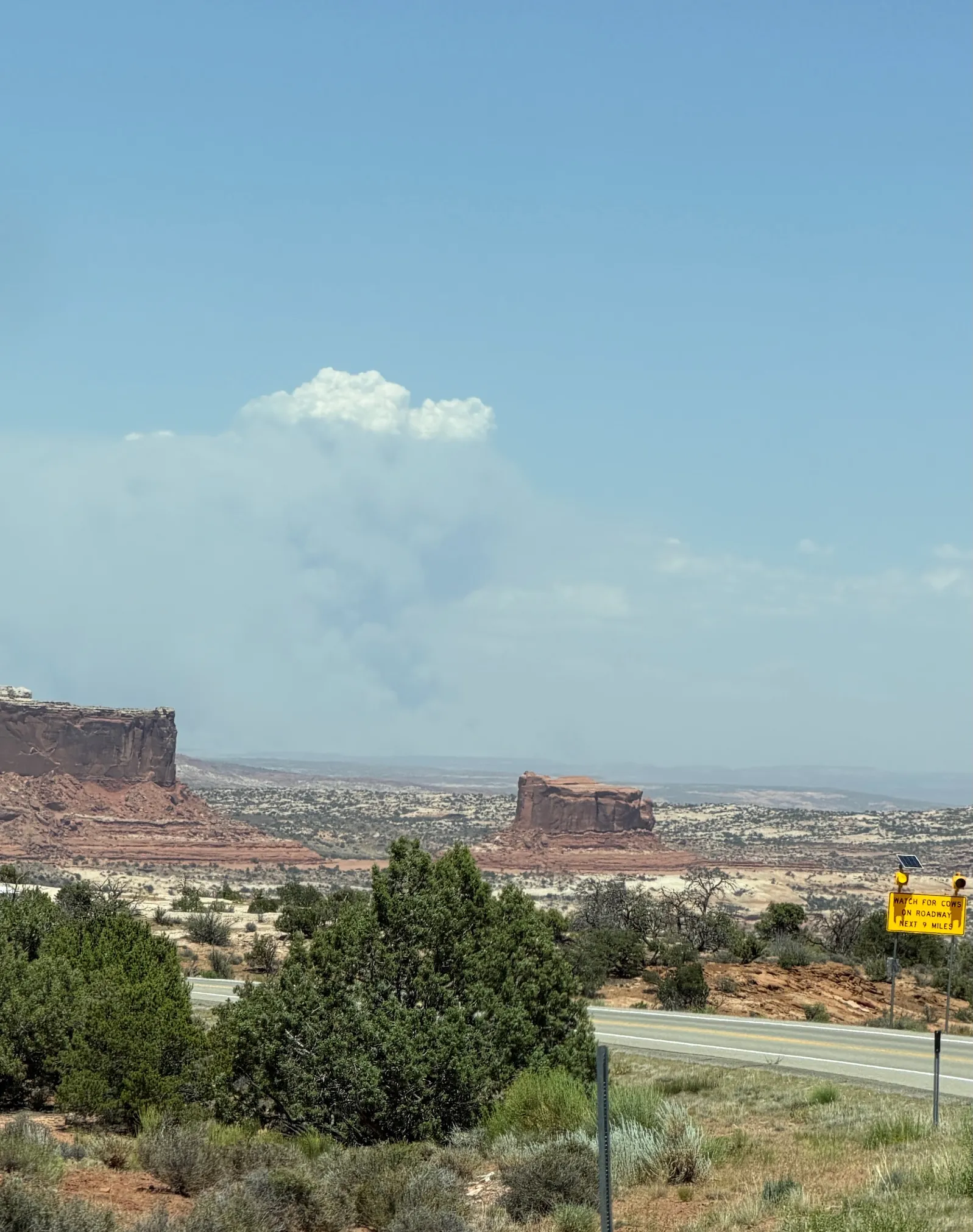 A smoke plume from a wildfire rises from a desert landscape