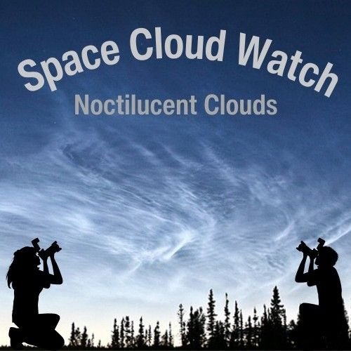 A pre-dawn or early evening scene. Two figures kneel, one on each side, pointing cameras up at the sky, which is filled with wave-like noctilucent clouds shining bright against a dark blue sky. Framing the sky from below is a dark of silhouetted trees, and above, the text 