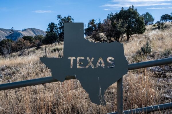 Image of Texas state outline in metal