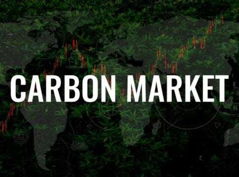 Zambia, Brazil and Ecuador Accelerate Carbon Markets as Article 6 Gains Ground