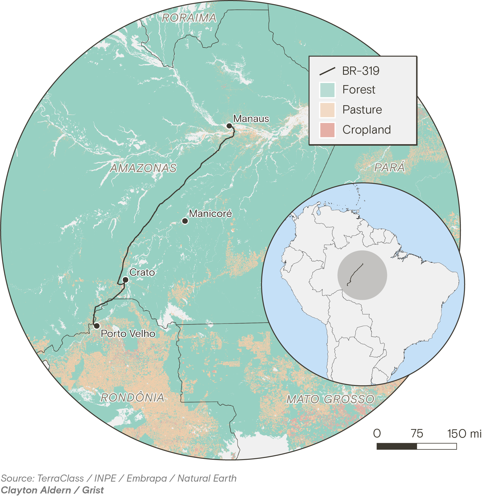 Map of highway BR-319 between Manaus and Porto Velho in the Brazilian Amazon, with 2024 land cover. Forest is green, pasture tan, cropland yellow. Cleared land clusters in the south near Rondônia and along the road.