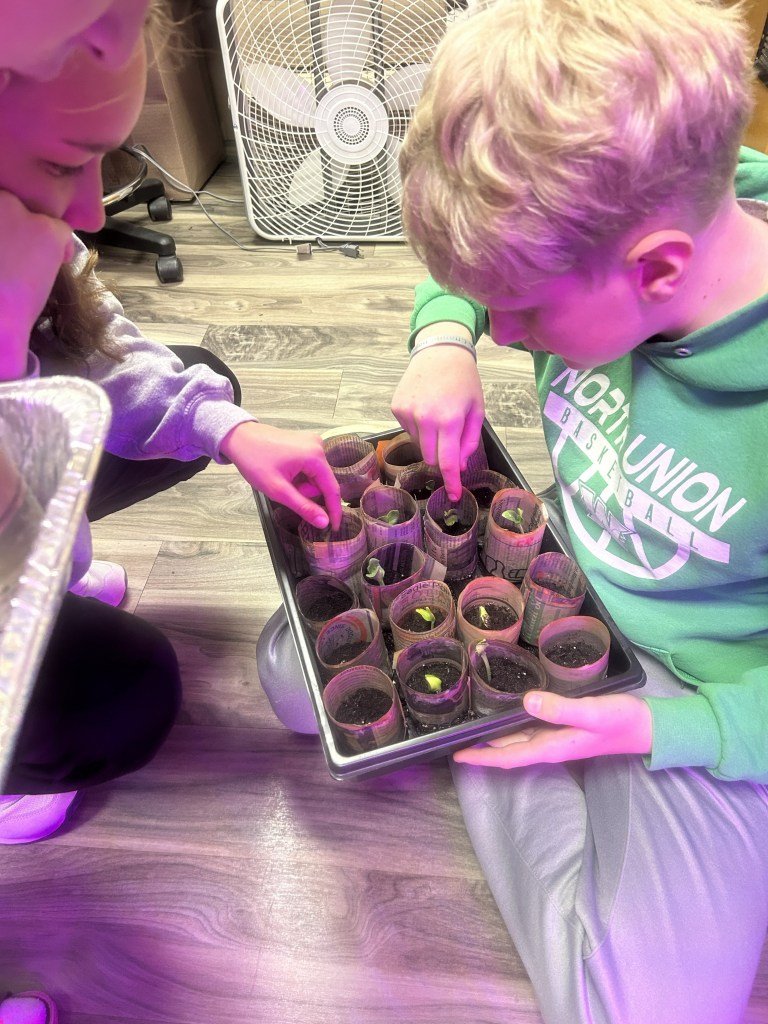 Two children are engaged in a planting activity, examining small cups filled with soil and young plants. One child is pointing at the cups while the other leans in closely. A large fan is visible in the background.