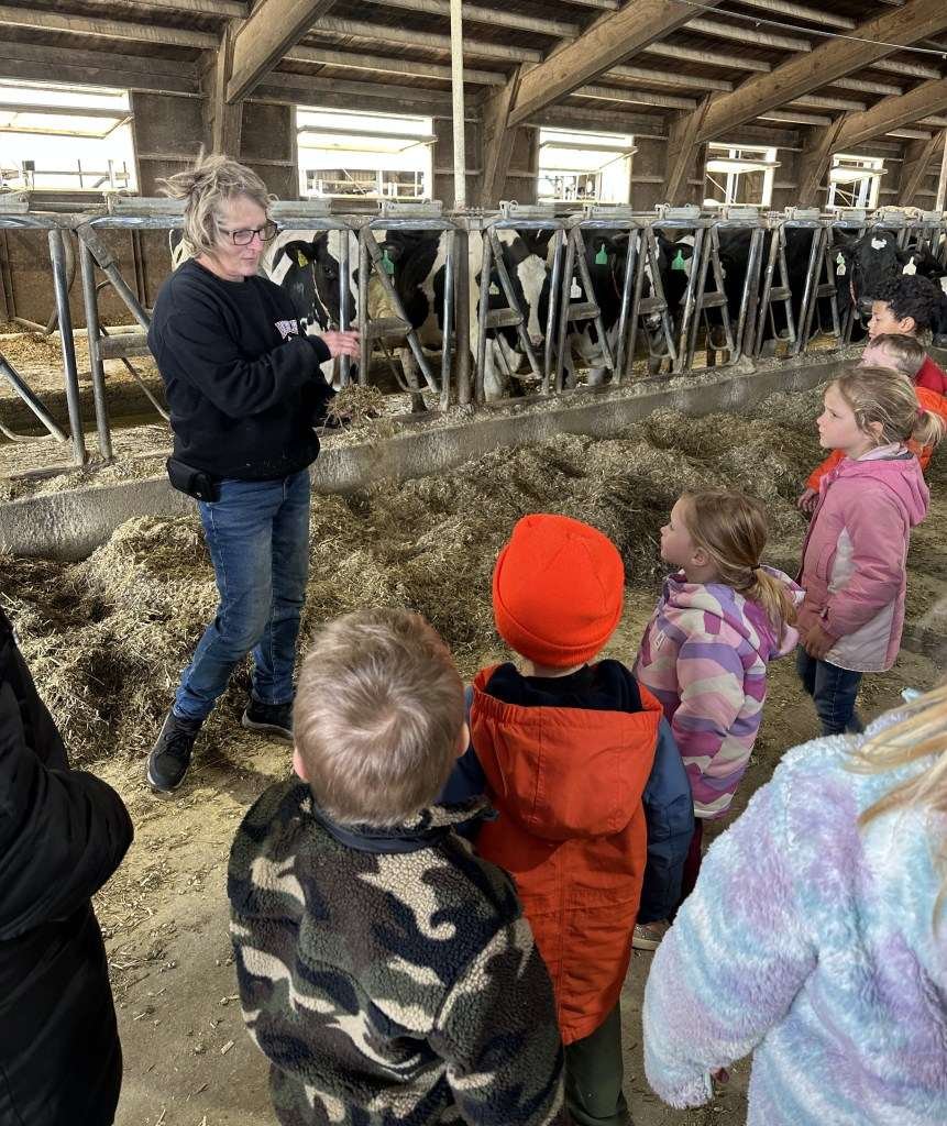 A group of children listening to a woman explaining about cows in a barn setting, with cows visible in the background.