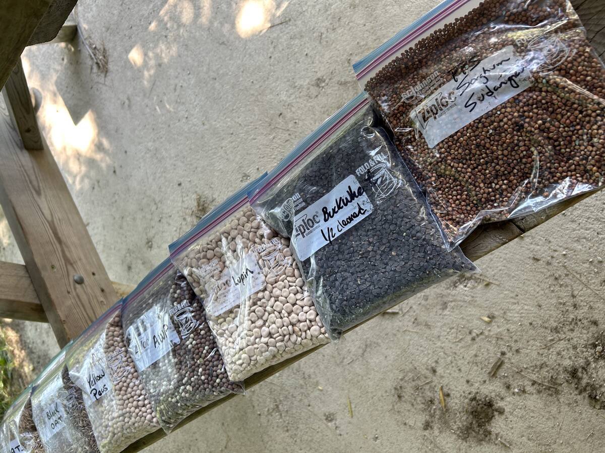 Cover crop seeds available to view at a recent Ontario Soil and Crop Improvement Association tour in Huron County. Photo: Stew Slater