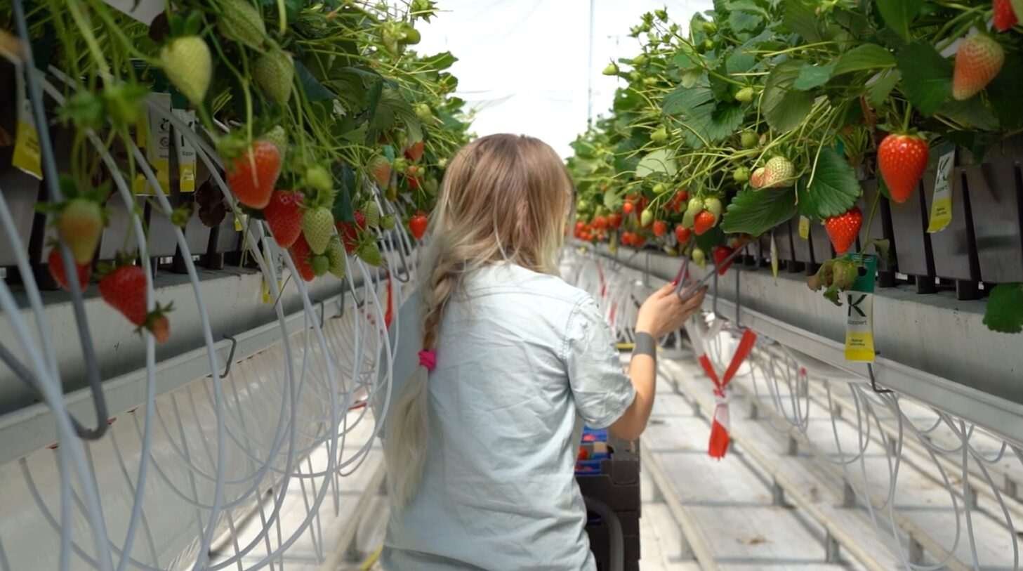 Image credit: Hudson River Biotechnology