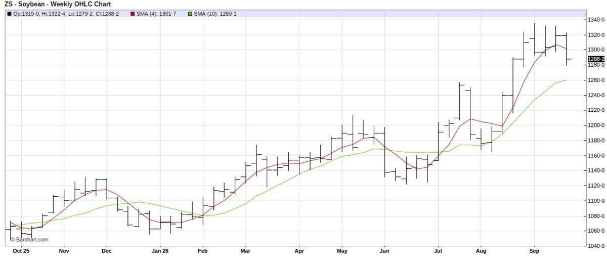 November 2026 Chicago soybean futures.  