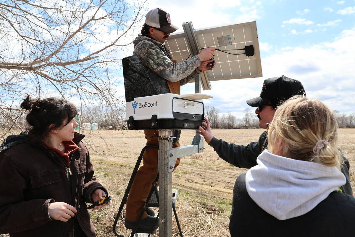 A BioScout spore-monitoring station is installed at J.P. Wiebe Ltd. near MacGregor, Man., in 2026. The system captures and images airborne material, then uses computer vision and artificial intelligence to identify spores. Photo: EMILI