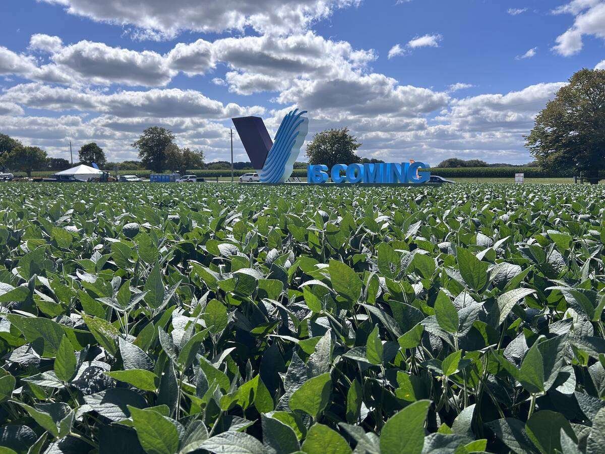 A large blue "IS COMING" sign with the show logo rises behind a plot of soybeans under a partly cloudy sky at Canada's Outdoor Farm Show. Photo: Gord Gilmour
