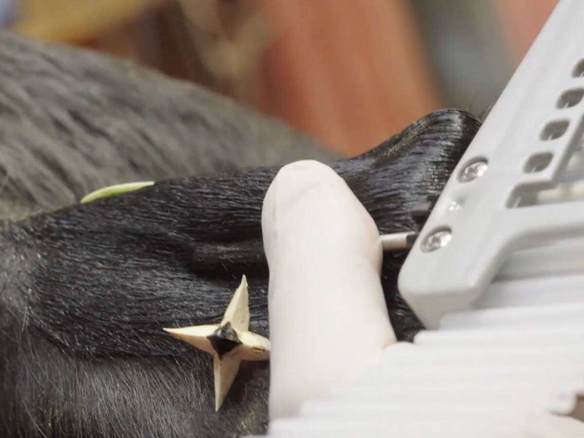 Elanco in late 2025 announced a restructuring plan that involves “our exit from certain farm animal implant products,” which includes closure of a manufacturing plant in Kansas in 2026. Photo: Elanco video screengrab