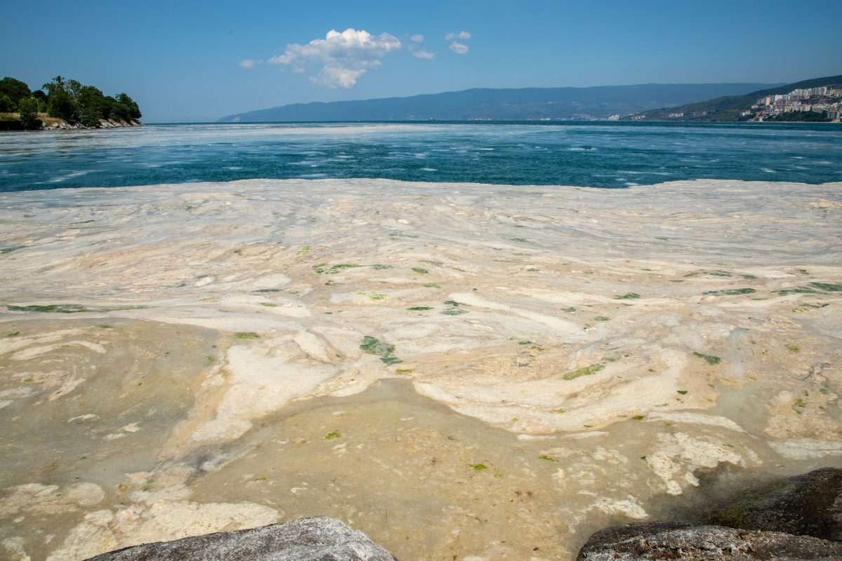Thick marine mucilage covering the surface of the Gulf of Gemlik in the Sea of Marmara