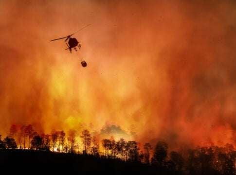 Europe’s Wildfires Release 27 Million MT of CO2 as France Sets New Emissions Record
