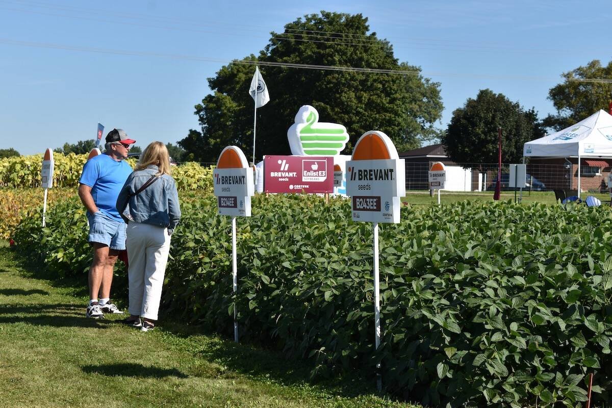 Two visitors walk beside a soybean plot marked with variety signs on a sunny day. Photo: Canada's Outdoor Farm Show