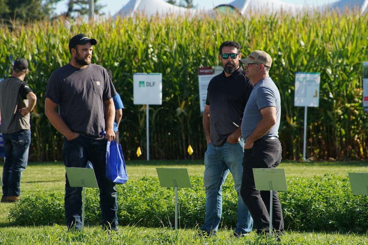Three men stand talking among labelled forage plots with a tall corn plot behind them. Photo: Canada's Outdoor Farm Show