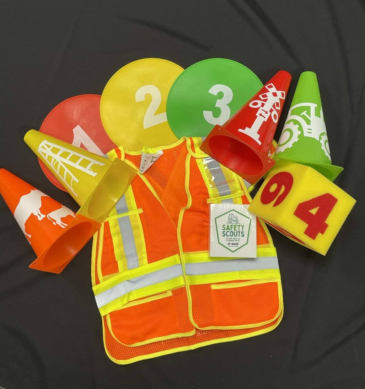 CASA says the BASF Safety Scouts program gives farm families activities and conversation starters to help teach children about farm safety. Photo: CASA