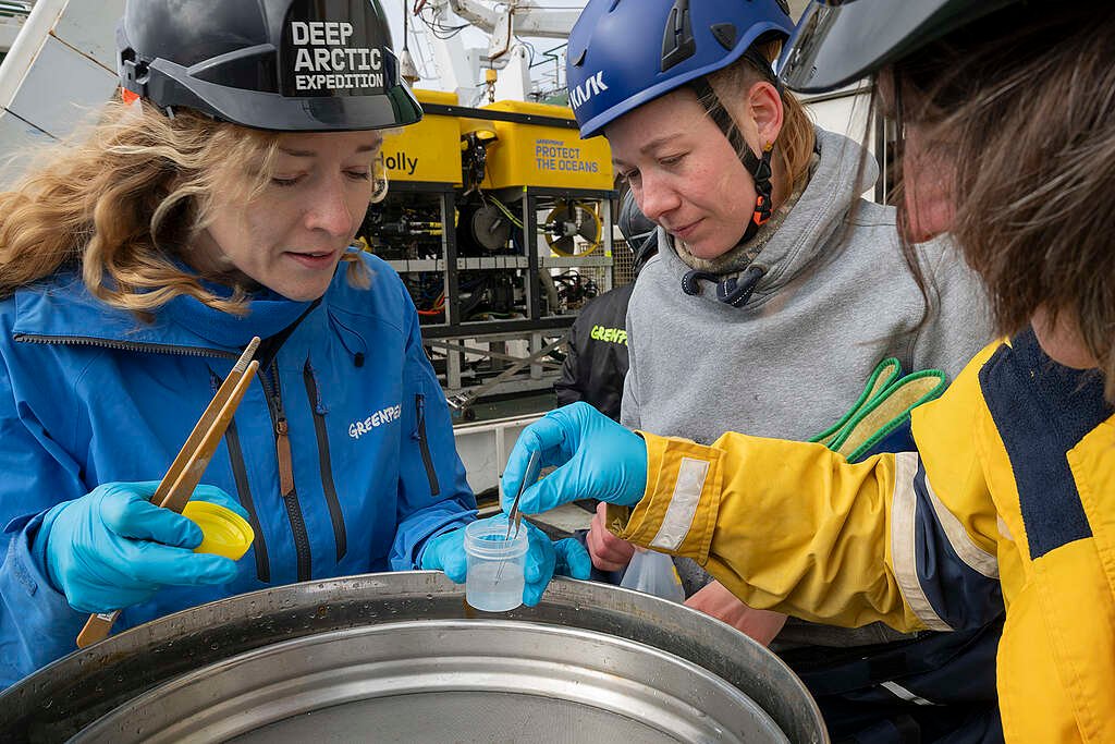 Deep Arctic Expedition