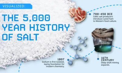 This is a preview image of a graphic that visualizes the 5,000 year history of salt, showing major milestones from ancient salt harvesting in China and Egypt to Roman language roots, salted cod, Gandhi’s Salt March, salt caverns, and modern road de-icing.