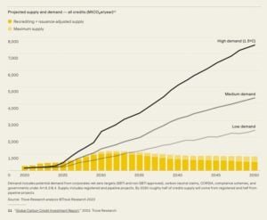 carbon credits VCM