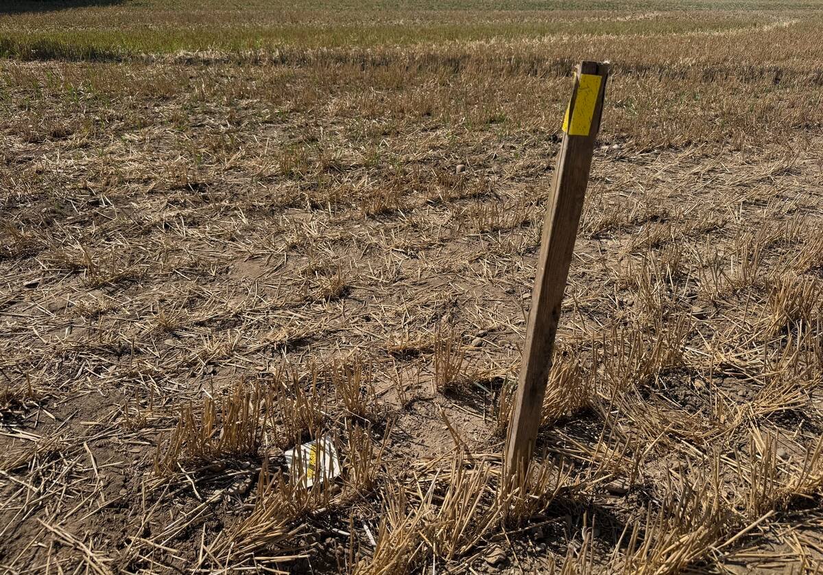Test strips were set up to illustrate spray patterns. Photo: John Greig