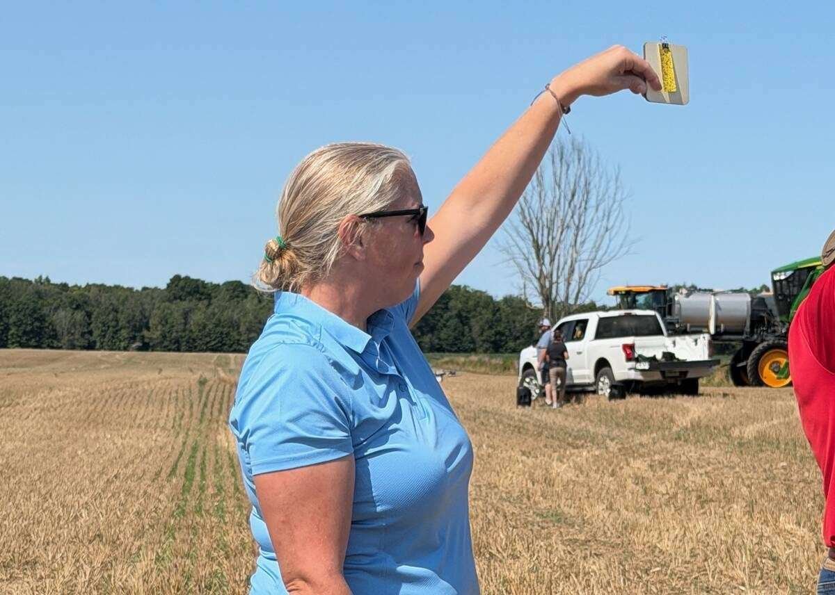 Showing a test strip from a sprayer demo. Photo: John Greig