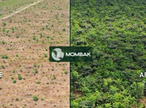 Mombak Targets $150M for Amazon Reforestation as Salesforce Joins Carbon Removal Buyers