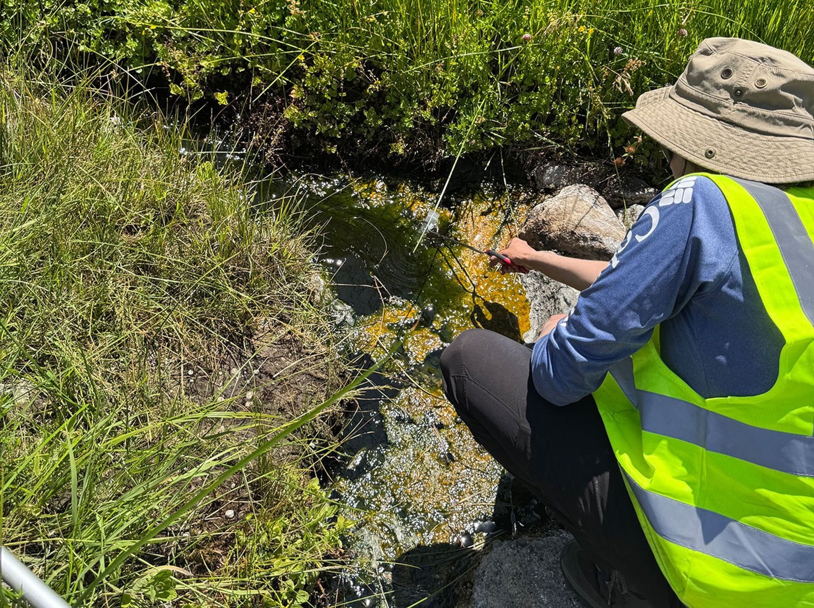 The image shows an over the shoulder view of a scientist wearing a long sleeve blue shirt and a brown bucket hat for protection from the bright sun. They also have a high visibility vest on. They are reaching a sampling stick out toward a small stream of thermal water surrounded by tall grass. The water has brown/green slime around the edges.