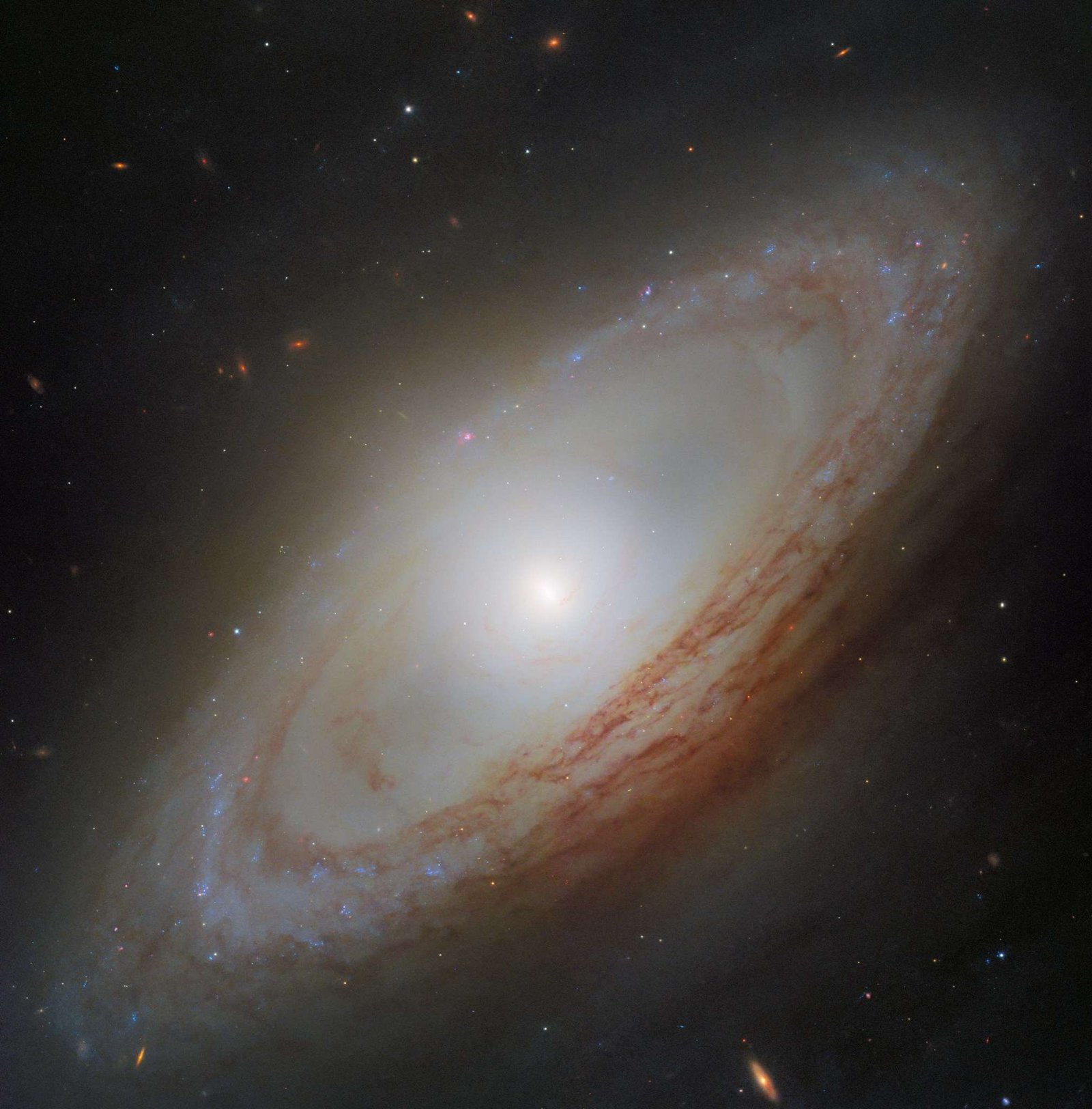 A spiral galaxy viewed at an angle, with a bright central bulge and winding spiral arms. The arms form a ring around the galaxy, without appearing to reach its center. Prominent red-brown dust lanes weave through the arms, which are also dotted with bright blue and reddish regions of star formation. The galaxy is set against a dark background scattered with stars and faint distant galaxies.