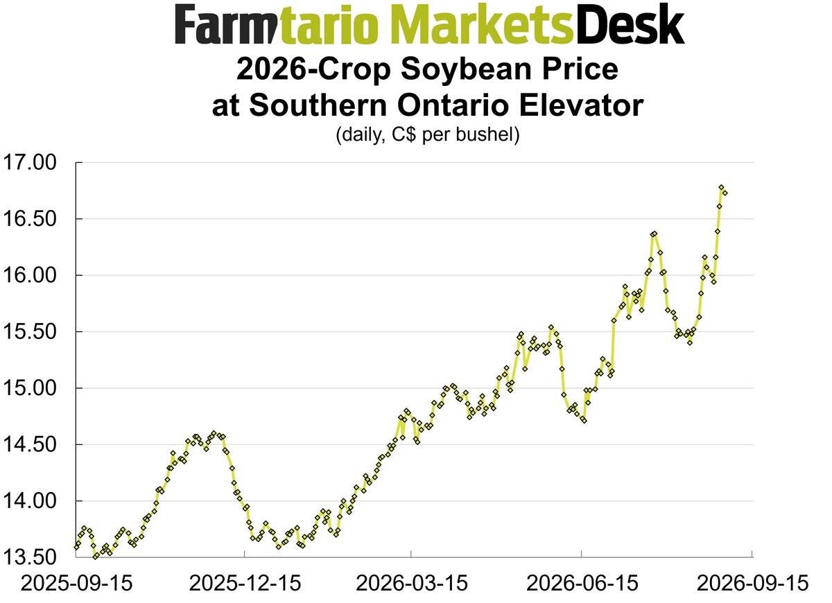 Ontario 2026-crop soybean bids hit new highs in late August.  Image: Glacier Farm Media