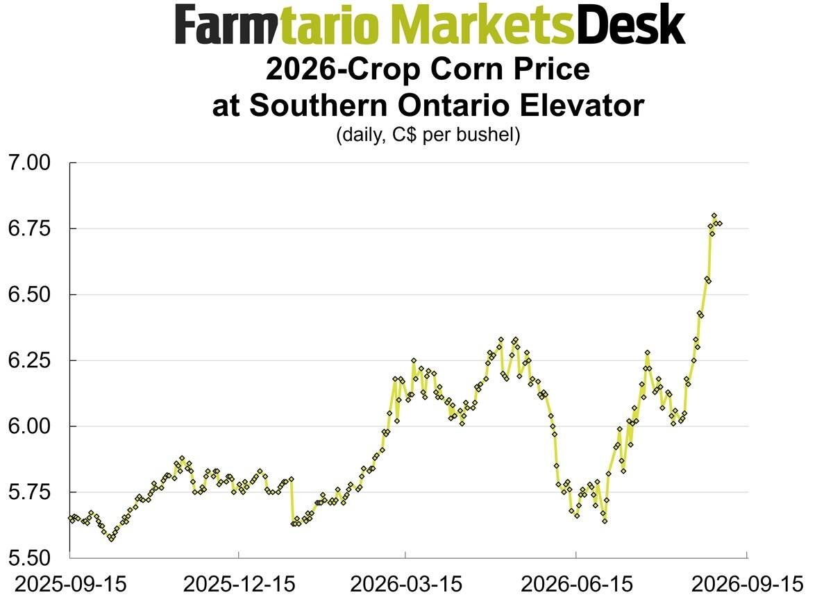 Ontario 2026-crop corn bids hit new highs in late August. Image: Glacier Farm Media