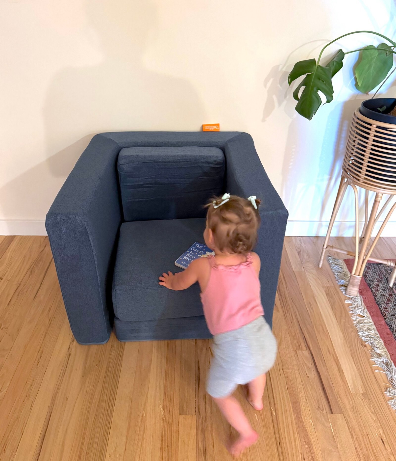 A toddler in a pink top and gray shorts stands in front of a blue armchair on a wooden floor next to a potted plant.