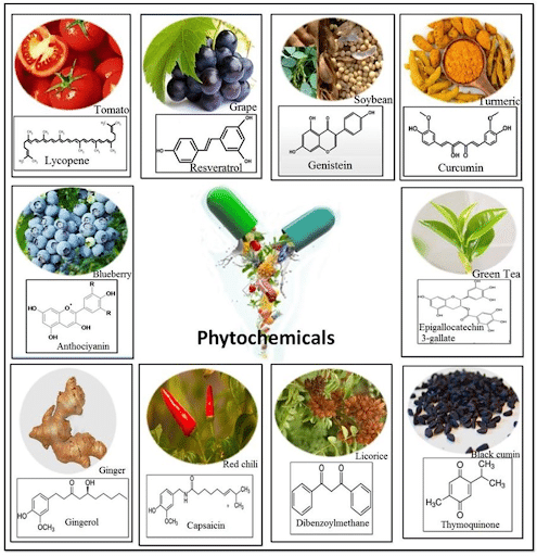 phytochemicals