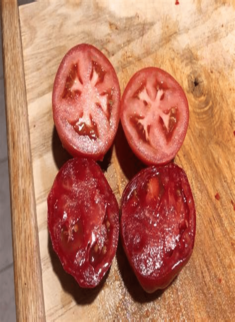 phytonutrient rich tomato