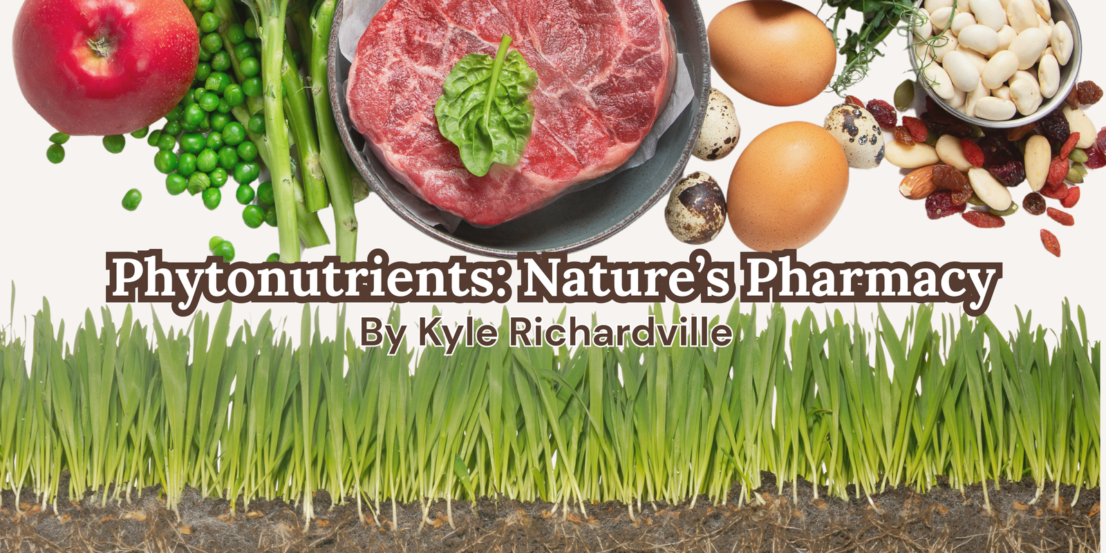 Phytonutrients Nature’s Pharmacy