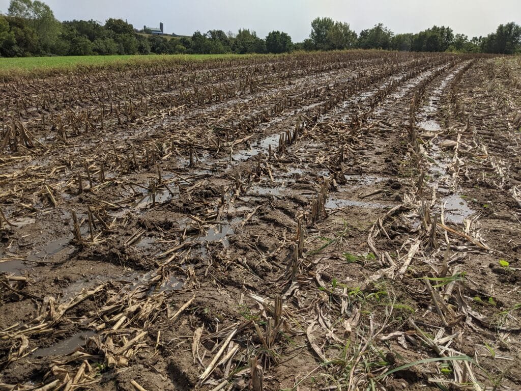 waterlogged field full of ruts