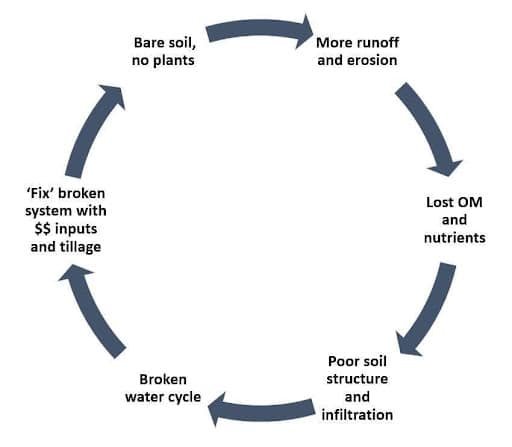 runoff cycle