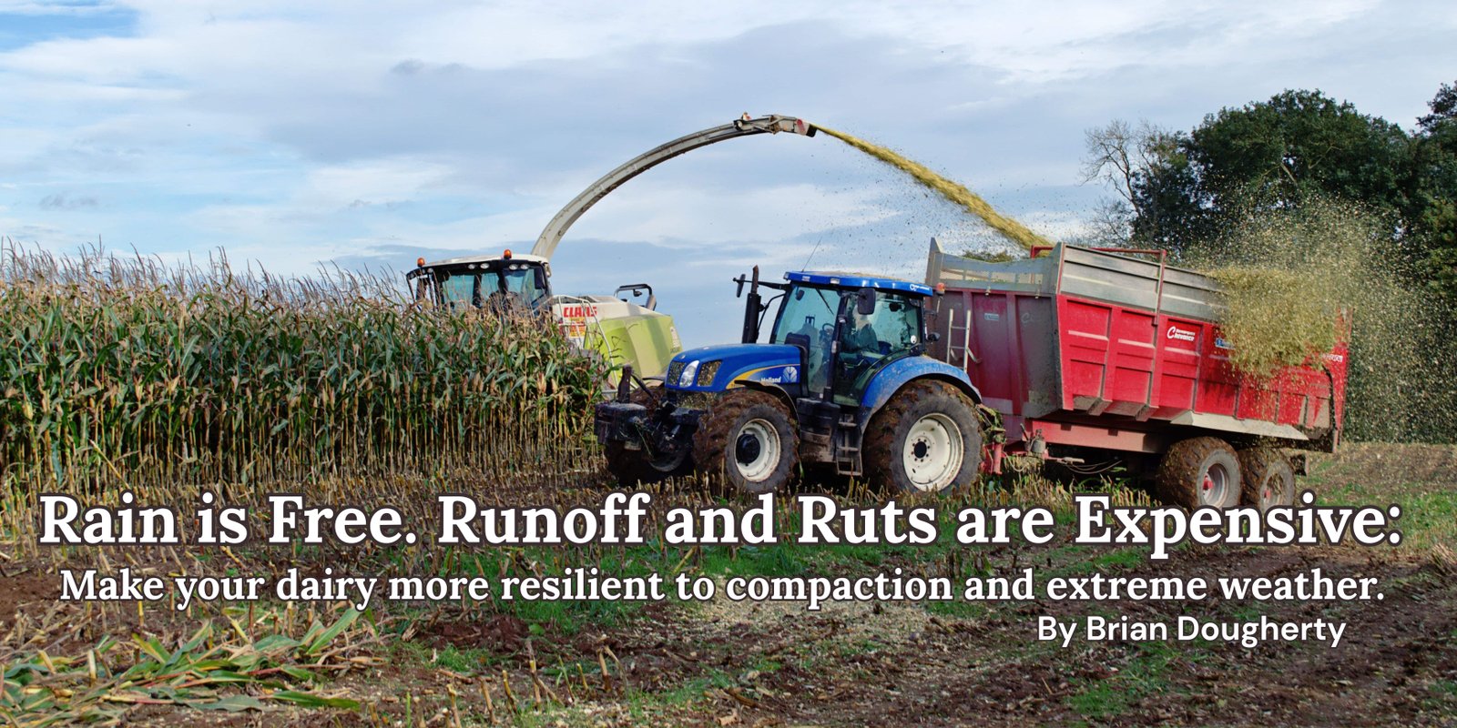 Make your dairy more resilient 2