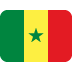 🇸🇳