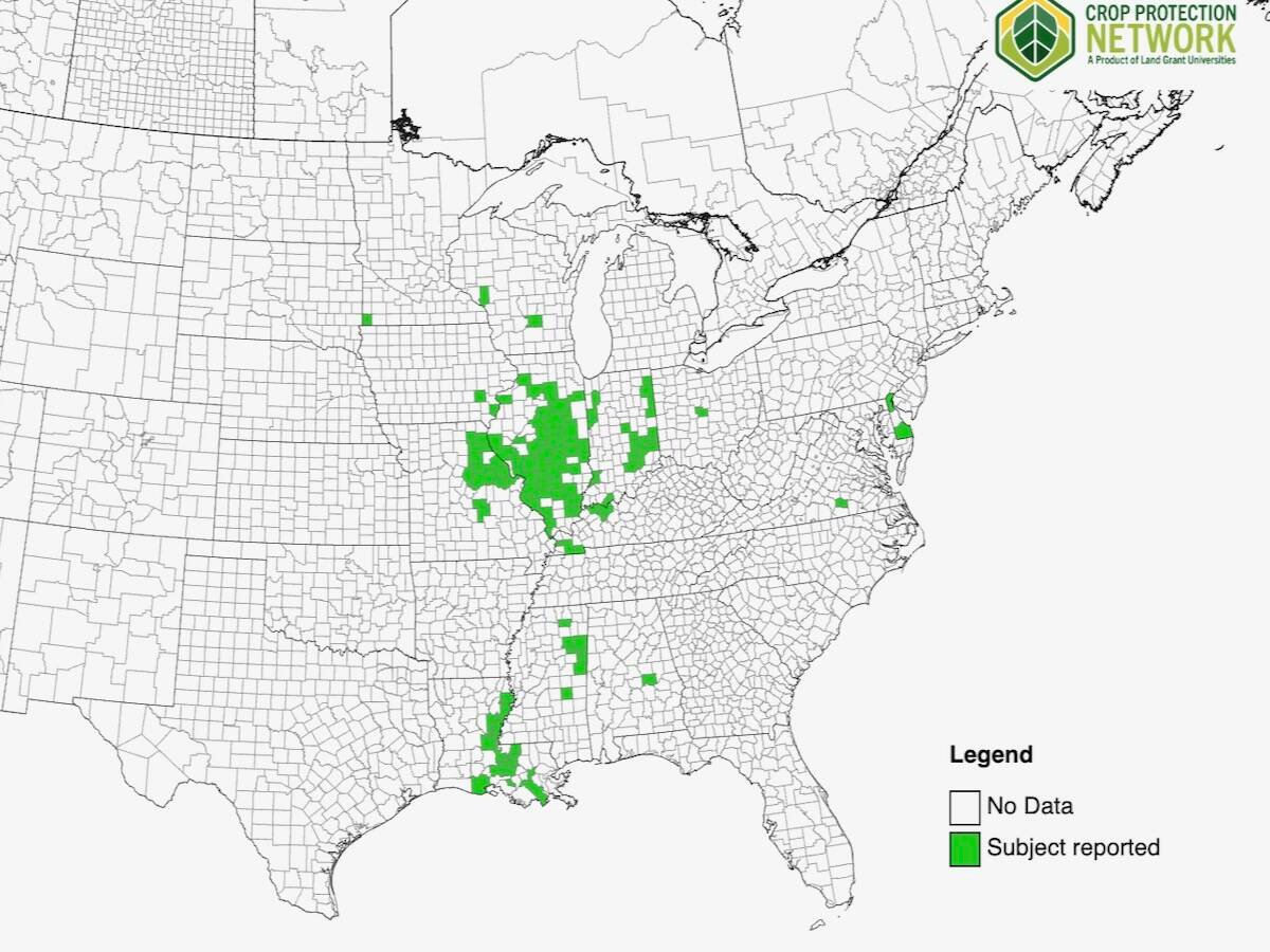 Jurisdictions in the U.S. with reported cases of red crown rot in soybeans as of Sept. 25. Map: Crop Protection Network/University of Georgia Center for Invasive Species and Ecosystem Health
