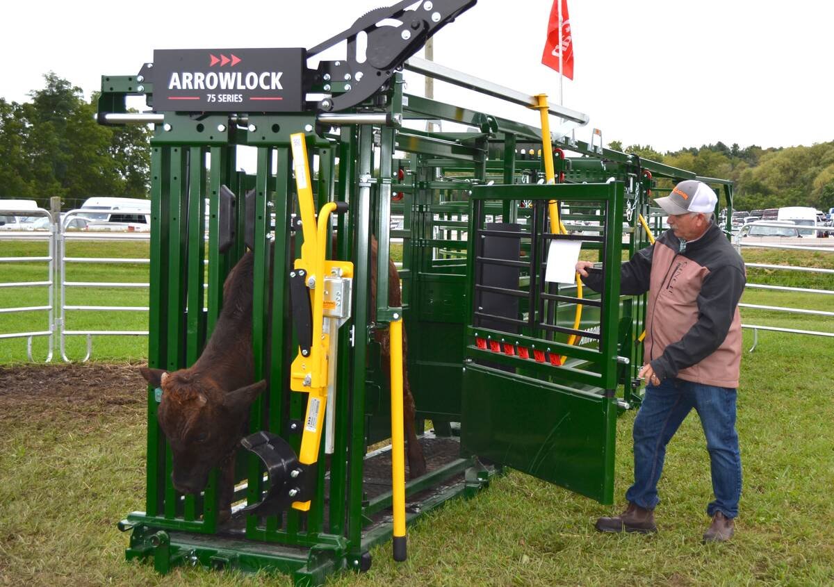 A man swings open a side access door on an Arrowquip squeeze chute while a cow stands in the head gate. Photo: Zak McLachlan