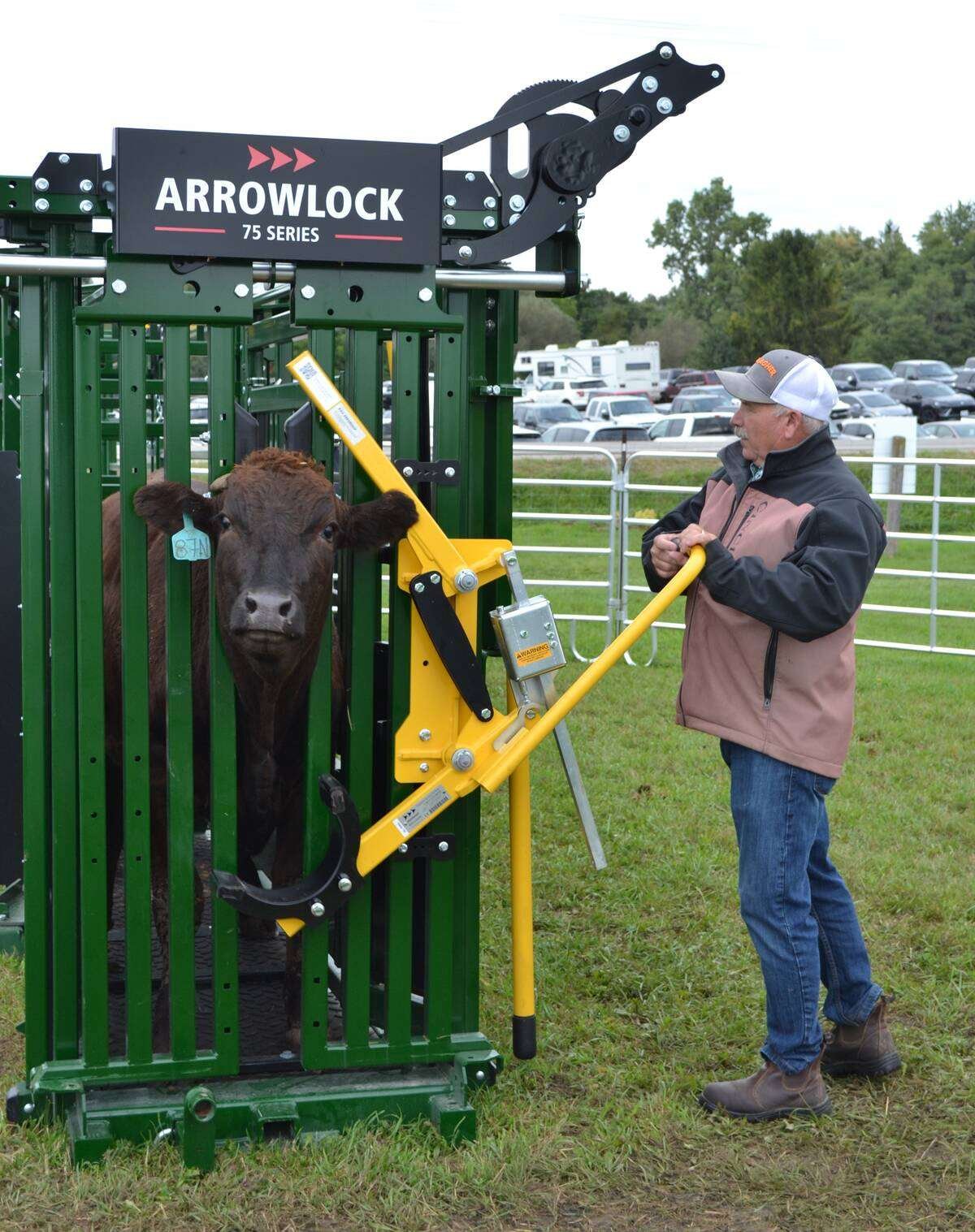 A cow's head held in the head gate of an Arrowlock 75 Series chute, with a man holding the yellow head gate lever beside it. Photo: Zak McLachlan