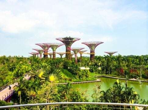 Singapore Targets 12 Million Carbon Credits in Major Article 6 Tender