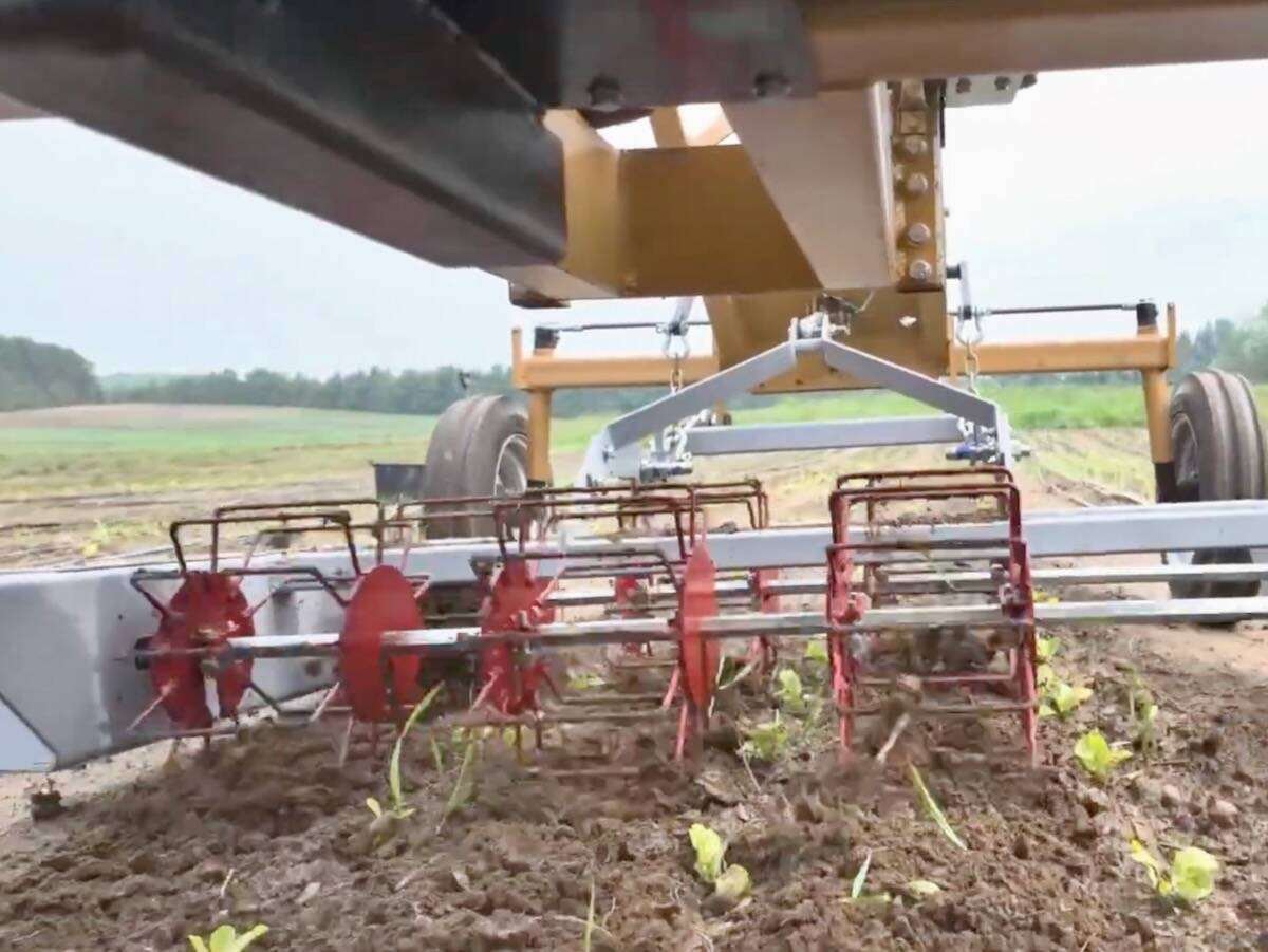 A basket-style weeder mounted underneath a Werkr unit to control weeds in row vegetable crops. Photo: Werkr video screengrab via YouTube