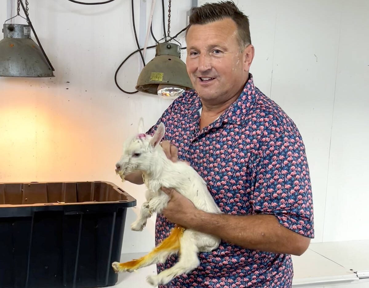 Ed Donker, dairy goat farmer, holds a goat kid during a tour of Donkers Family Farm. Photo: Zak McLachlan