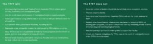 TFF tropical forest fund